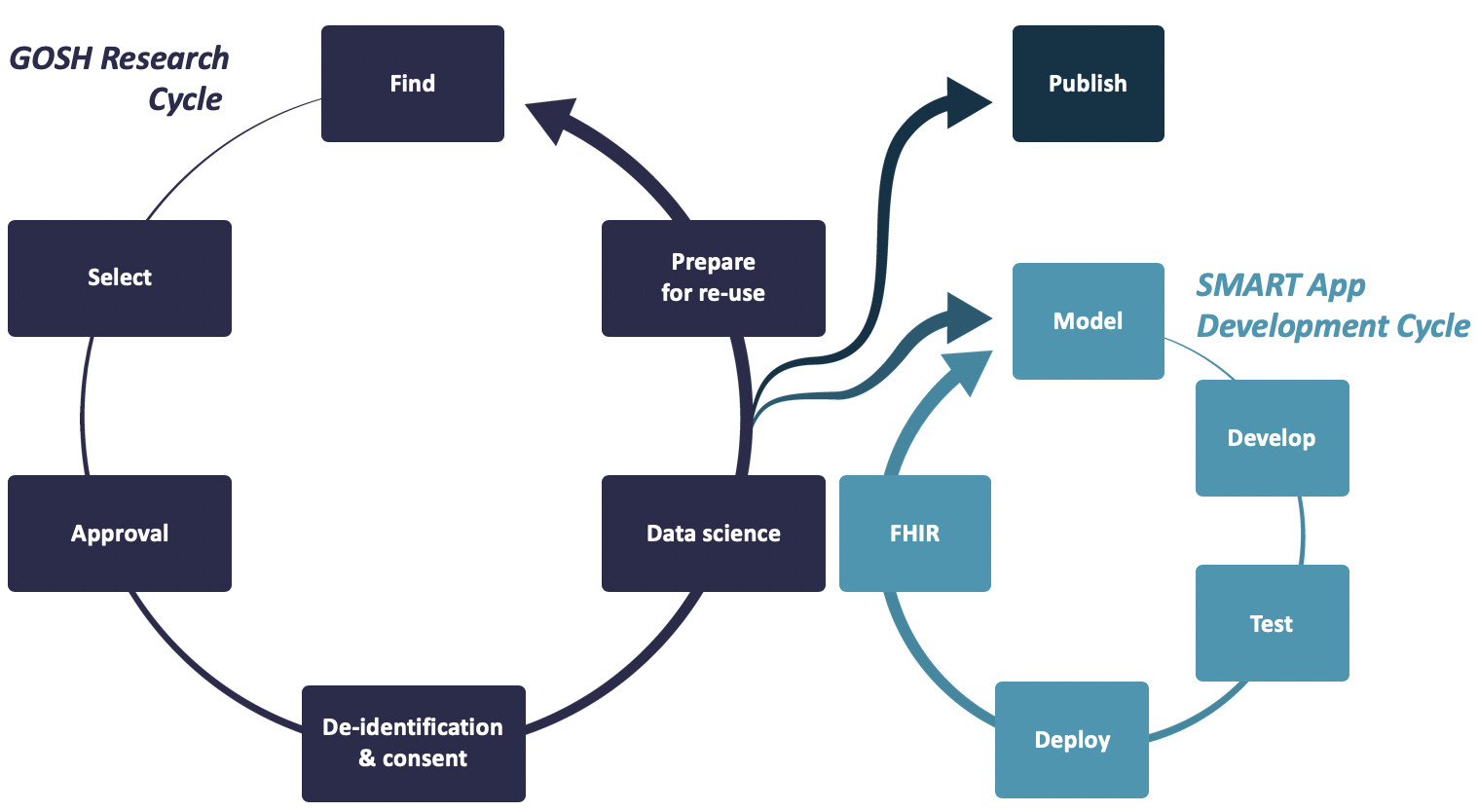 Developement cycle