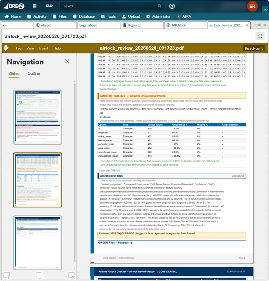 Step 3: The governance report PDF open in the DRE, showing rule findings, AI advisory observations and reviewer decision