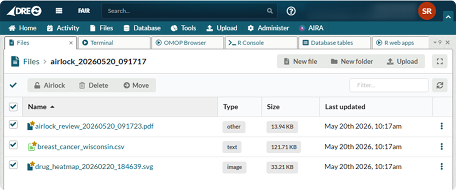 Step 1: The completed airlock package showing the review report PDF and output files ready to send
