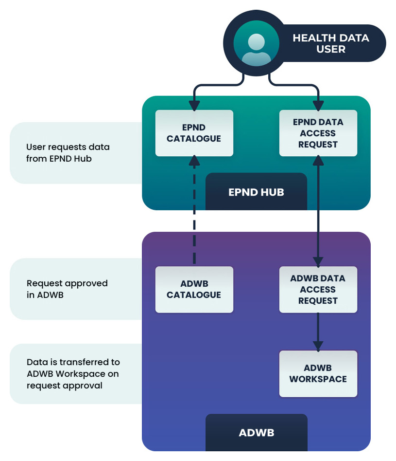 EPND Workflow