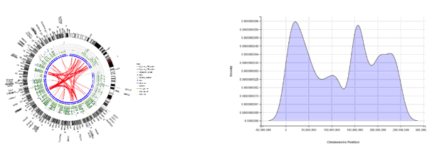 Dan-figure2